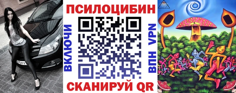Купить где  Верещагино  Галлюциногенные грибы GOLDEN TEACHER 